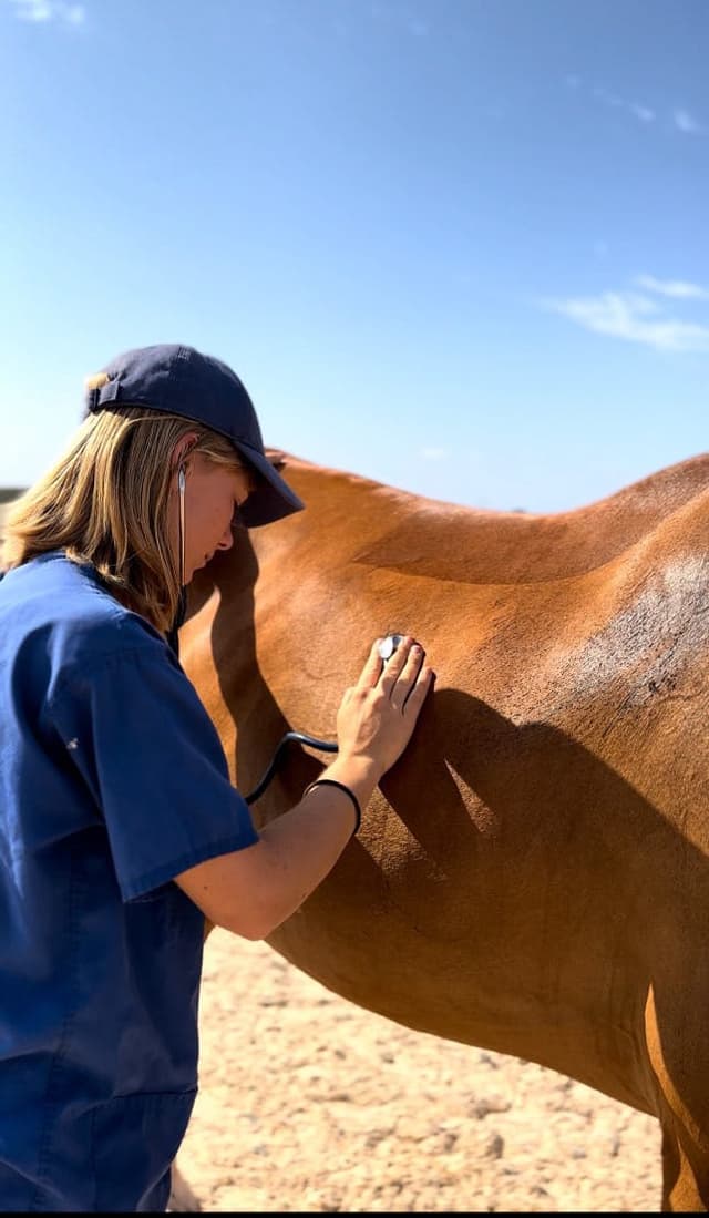 Paula examining a horse