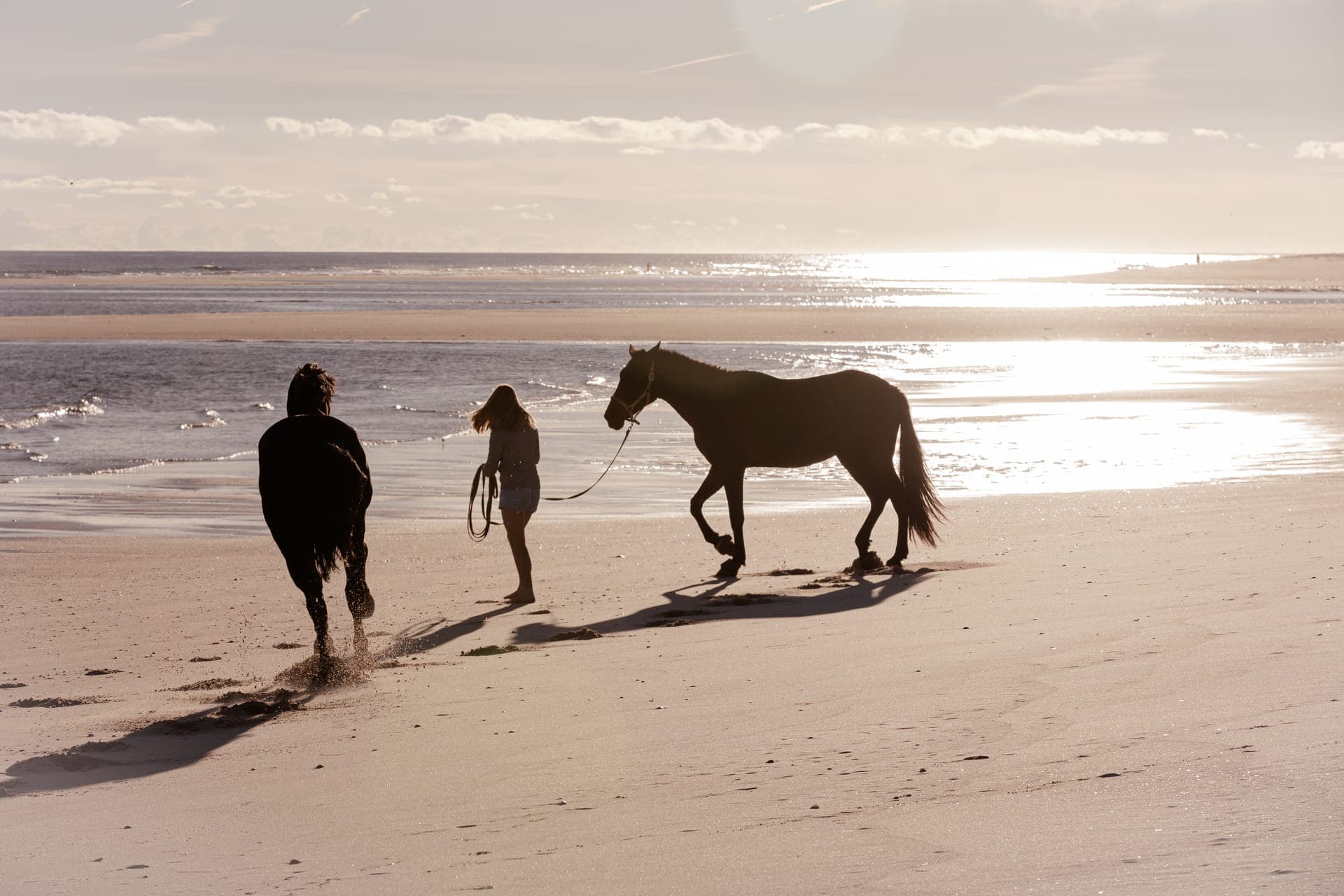 Paula with horses on the Algarve coast
